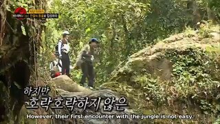 ENG. Law of the Jungle 279