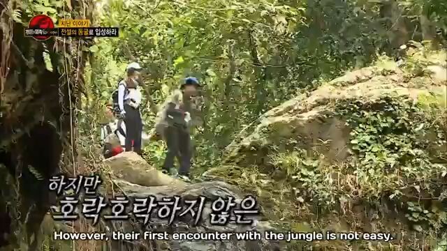 ENG. Law of the Jungle 279