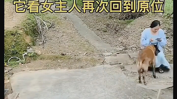 كل شيء يحمل روحاً، فعامل الكائنات الصغيرة من حولك بلطف.