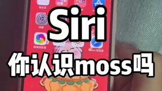 مرحبا سيري، هل تعرفين موس؟