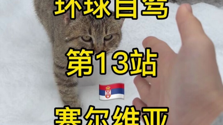 จากนี้ไปมีแค่ฉัน แมวหนึ่งตัว และรถคันเดียว