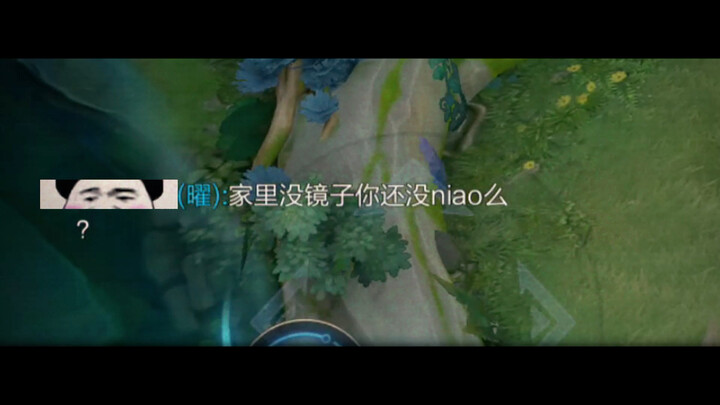 学会了爽一天
