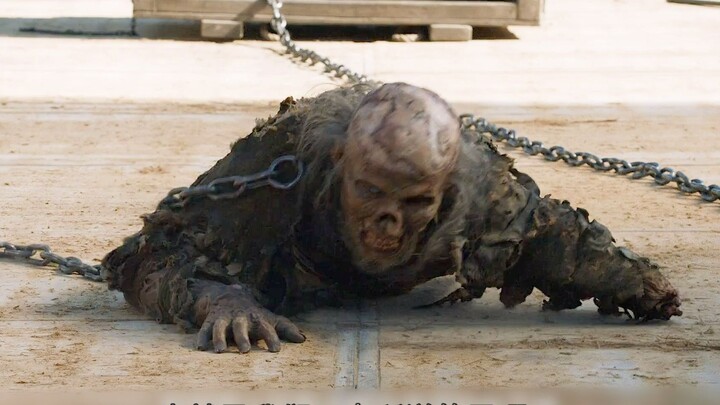 Immortal Shiki, netizen: Who said there is no perpetual motion machine? I sent him to work in a fact