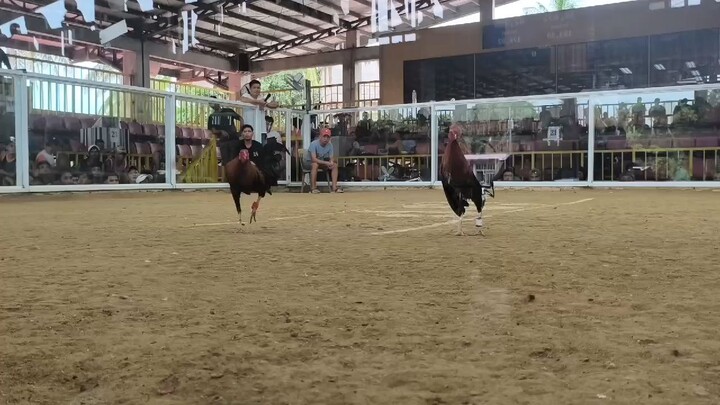 wins the dancers