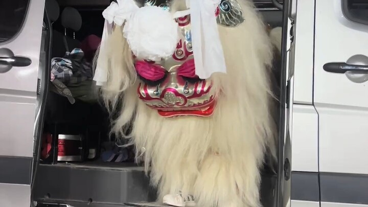 Deeply saddened, the little white lion Xiangang trembled, his eyes filled with grief and despair as 