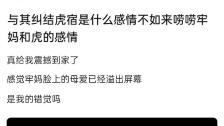Instead of puzzling over what “Tiger Dorm” is, let’s chat about the bond between Lao Ma and Tiger!