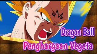 Dragon Ball|【AMV】Untuk mengingat Vegeta:Penghargaan Vegeta [Anak anak bernyanyi]