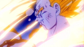Biến mất trong ánh sáng, Hoàng tử Sai Ajin tên là Vegeta!