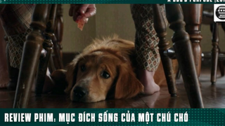 [Review Phim]Chú Chó Trung Thành Làm Mai Mối Giúp Ông Chủ Có Vợ p6
