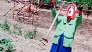 Để lại mảnh đất trồng rau dùng để mở tiệc à