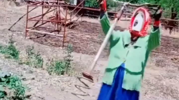 Để lại mảnh đất trồng rau dùng để mở tiệc à