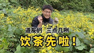 修仙也要，饮茶先啦！【重生之回乡修仙传】第22回