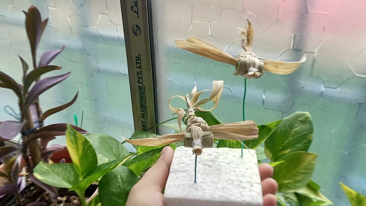 This Paper Clip Hack Turned My Dragonfly Into Home Decor