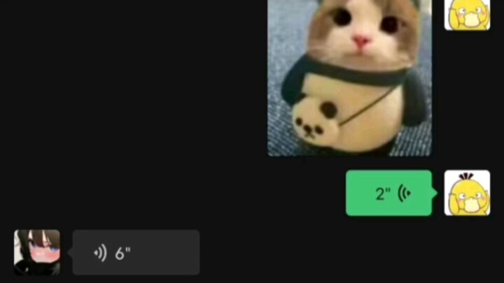 《Tôi bày bài rồi》