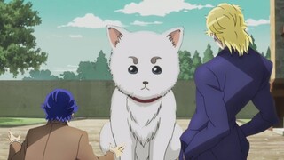 【JOJO/银魂】如果大乔的宠物是定春……