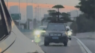 Can you believe I was being chased by a tree? I thought the world was bugged!