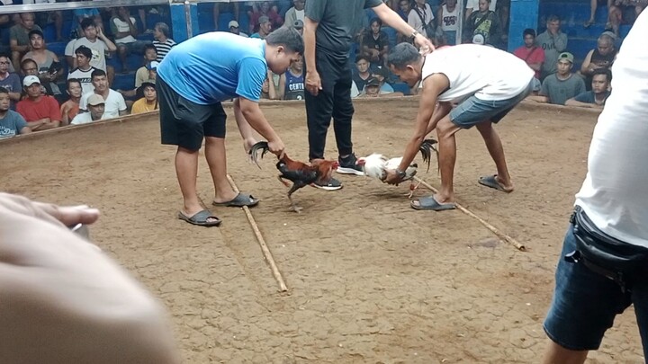 two hits ulutan  champion