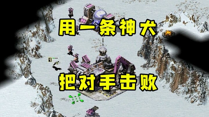 Red Alert ใช้สุนัขเทพตัวหนึ่งจัดการคู่ต่อสู้! สร้างสถิติเอาชนะคู่ต่อสู้ในเวลาที่สั้นที่สุดในประวัติศ