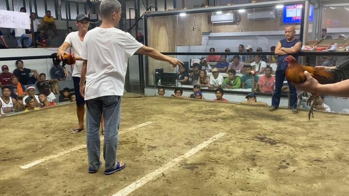 2 HITS ULUTAN @SILANG COCKPIT ARENA😇🙏🐓