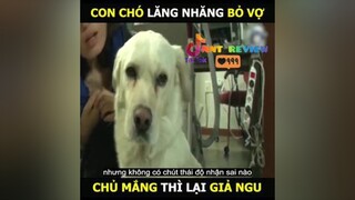 con chó 🐶 lăng nhăng bỏ nhà đi tán gái 🤪🤪🤪nntreview2 mereviewphim reviewphimhay foryou