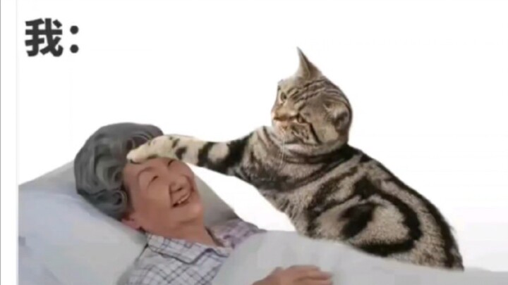 第一眼以为是反串，你来真的啊哥？