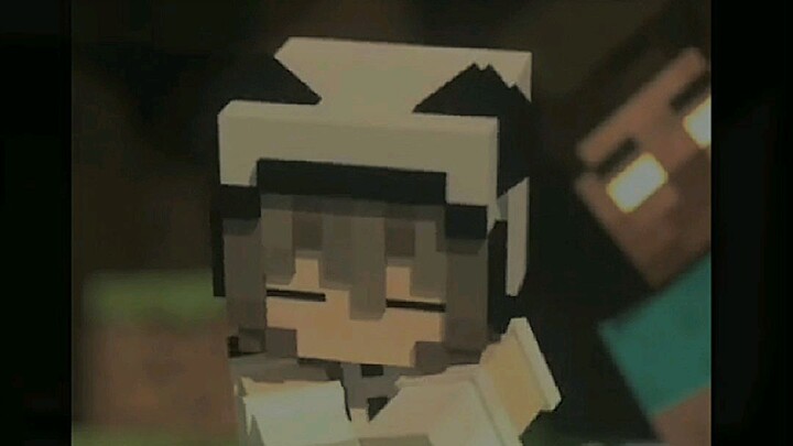 Minecraft Edit Slowed Meme