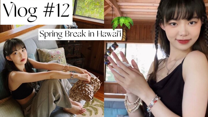 Vlog | Six Days of Wild Life in Hawaii
