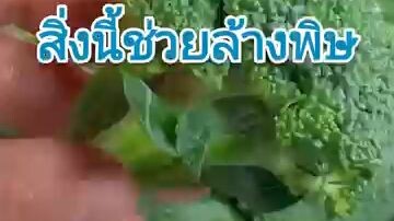 รู้ใว ก็ดี