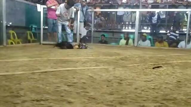 sayang tabla putol ang Tari ng kalaban