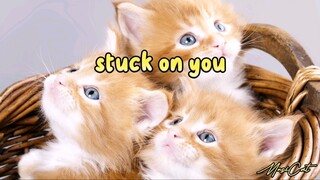 STUCK ON YOU (LYRICS) 3T