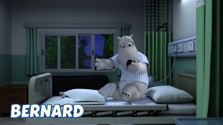 BERNARD BEAR || FIGHT AGAINST MOSQUITO - CARTOON CHILDREN