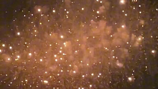 “It turns out they really do live as if in an anime.” Tokyo Adachi Fireworks Festival