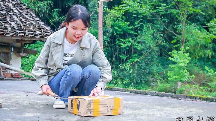 Cô gái quay video về chú chó nhà quê, nhận được sự ủng hộ nồng nhiệt từ cư dân mạng; lần này, các fa