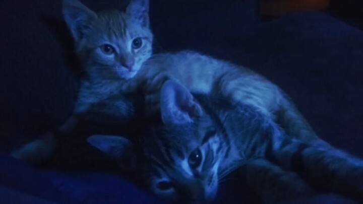 you're tired, go to bed.