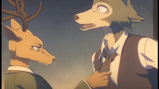 (BEASTARS) คู่รักกวางหมาป่า