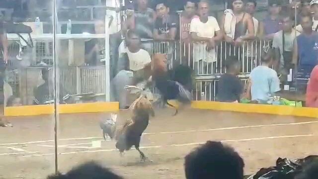 Nauhan pa sa liig naputol pa tari, buti napanalo pa