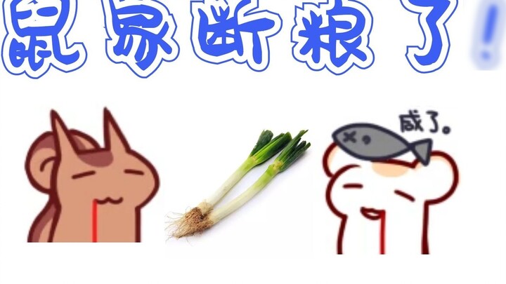 [Squirrel & Hamster] The rat family is out of food! !