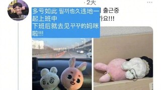 Hạt mềm mềm à, câu chuyện nhỏ chữa lành cho ngày hôm nay～ # Búp bê # Ấm áp