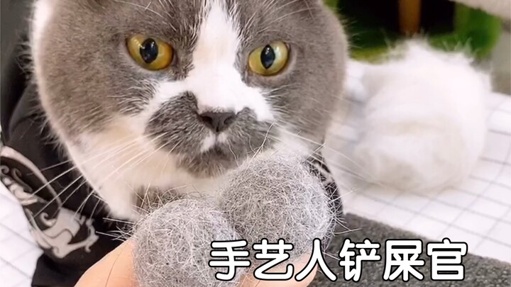 Raising cats makes you a better person—am I right, haha?