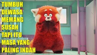 Review TURNING RED, Film Animasi untuk Kita Semua yang Masih Bertumbuh Dewasa