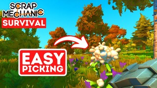 How to Get COTTON in Scrap Mechanic Survival