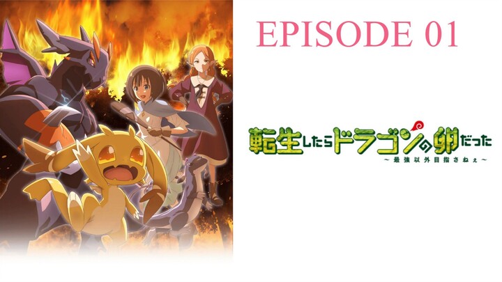 Tensei shitara Dragon no Tamago datta Episode 1 English Subbed