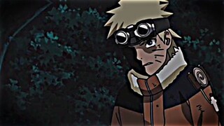 Konoha autorata