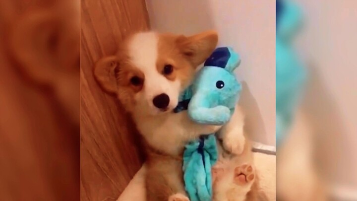 “Ini… ini kelewat kawaii banget!!”