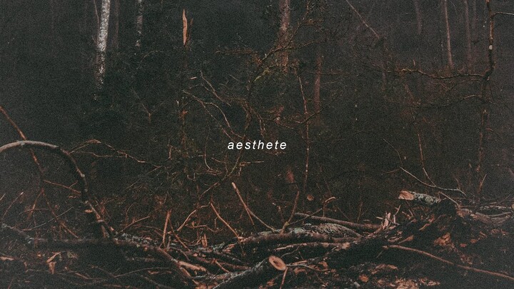 aesthete - born in time (slowed cover)