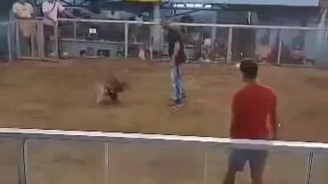 pangit na bulik xenxa na po sa malabong video❤️