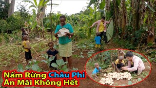Tập 237: Gia đình Antonio thu hoạch Nấm Độc nhất vô nhị|| 2Q Vlogs cuộc sống Châu Phi