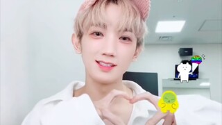 【自存】抽象剧组的一股手势舞清流