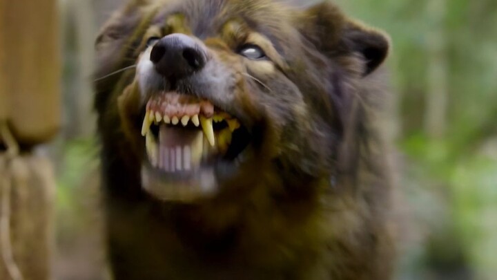 رجل يفجر صندوقًا غامضًا من كهف، وعندما فتحه أصاب الجميع بالدهشة.