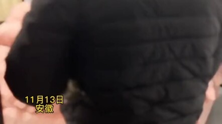 Putri merekam ayahnya yang pulang kerja jam sebelas membawakan sate goreng untuk ibu, langsung diant